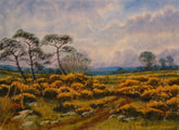 The Gold In On The Whinbush - James Flack