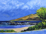 Cappagh Strand - Mick Flaherty