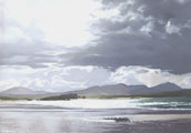 Silver Strand - Ros Harvey