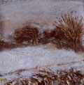 Snow Study I - Vivien Murray