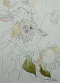 Sunflower Study - Kenneth Webb