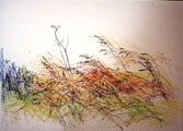 Study Of Grasses - Kenneth Webb