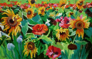 Sunflowers & Poppies - Kenneth Webb