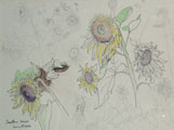 Flower Study - Kenneth Webb