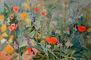 Poppies & Wild Flowers - Kenneth Webb