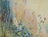 Rosebay, Willowherb & Goatweed - Kenneth Webb