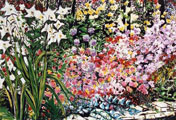 Garden Border - Jenny Scully Sharkey