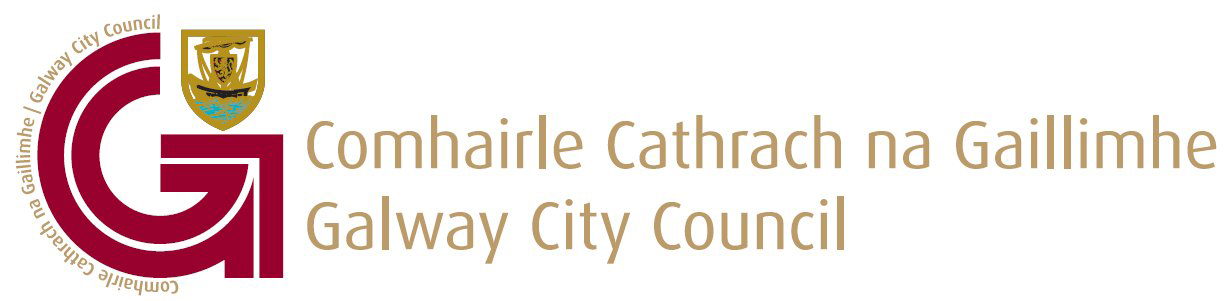 Galway City Council