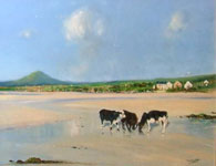 A Day at the Beach, Near Ballydavid by Paul Guilfoyle