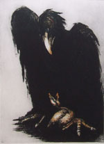 Raven / Chick by Éadaín