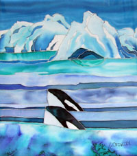 Antarctic Killer Whales