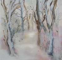Barna Woods in Winter