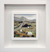 Bog Ramblers, Connemara