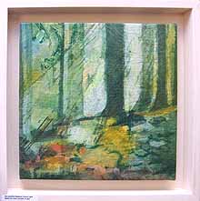Forest Light