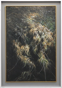 Winter Grasses