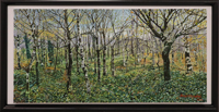 Beech Trees, Mealeagh