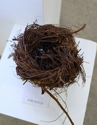 Large Heather Nest