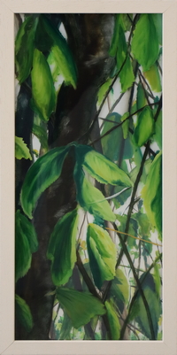 Leaves