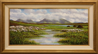 Mountains and Turf, Roundstone Bog