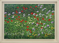 Wildflowers (2/15)