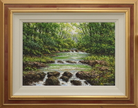 Tumbling River near Ballynahinch