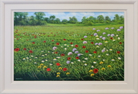 Field of Wildflowers