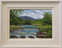 Ballynahinch River (7/10)
