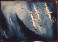 Gannet Trio