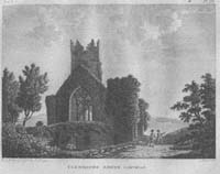 Clonmines Abbey