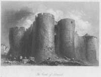 Castle of Limerick, The
