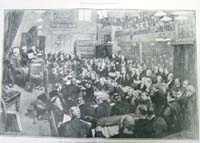 The Irish Parliamentary Party, 1886