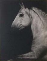 Horsehead