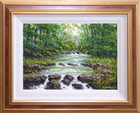 Tumbling River near Ballynahinch