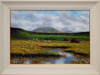 Roundstone Bog II  (02/15)