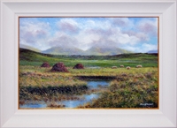 Roundstone Bog IV  (04/15)