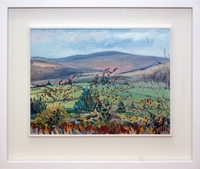 Down to Carrigillihy