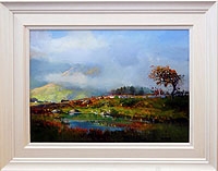 Hill Pool, Maam Valley