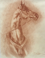 The Byerley Turk
