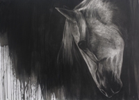 The Grey