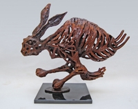 Hare in Motion