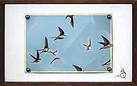 Swallow II