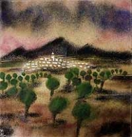 Olive Groves,Andalucia