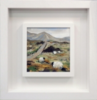 Bog Ramblers, Connemara