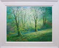 Bluebell Forest