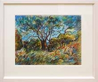 Trees at Carn