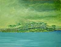 Pine Island, Derryclare