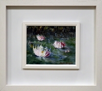 Pond Lilies
