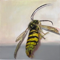 Wasp in Shadow