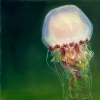 Dark Water Jellyfish