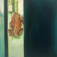 Bufo Alvaris